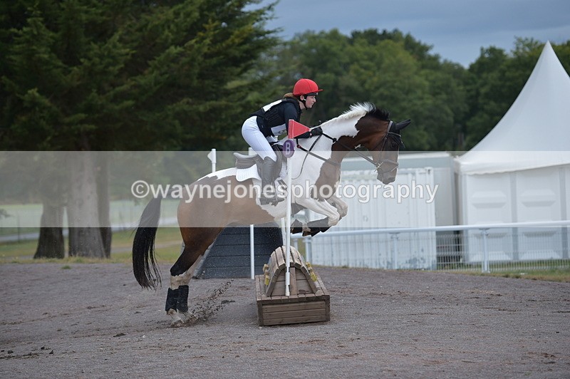 NGP_2139 - XC Time 11:20 to 11:36