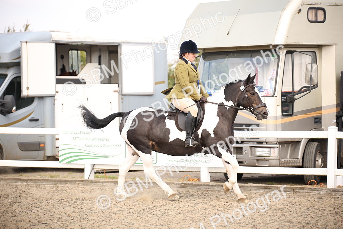 SBM_13620 - Class 406b - Working Veteran 50cm (20+)