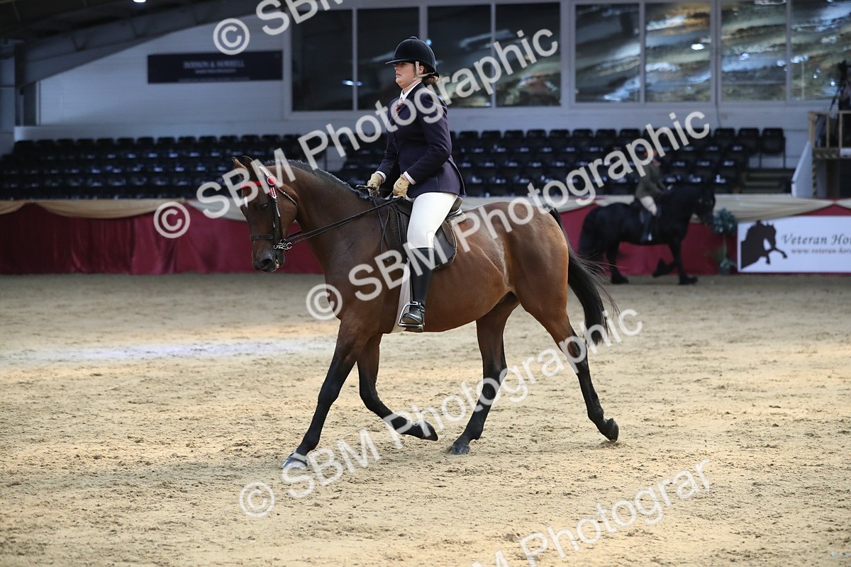 SBM_08342 - Class 11R Regional Ridden Veteran