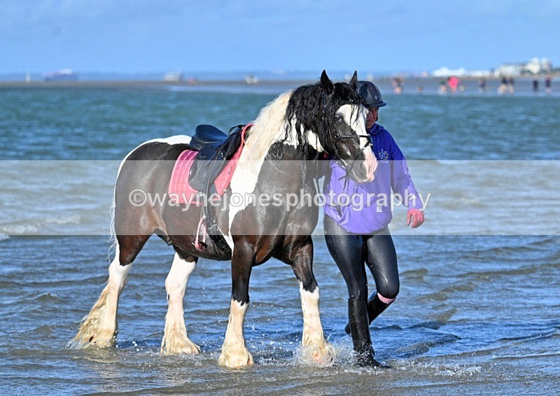 WJ7_3588_1 - Kellie & Churchill ... do Hayling Island 25-08-24