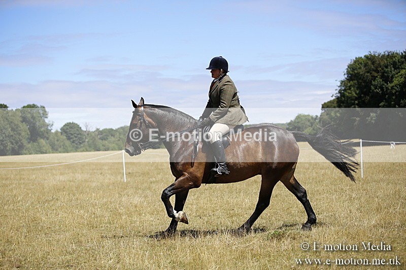 _C7A9916 - BVRC Show 2018 Ring 1