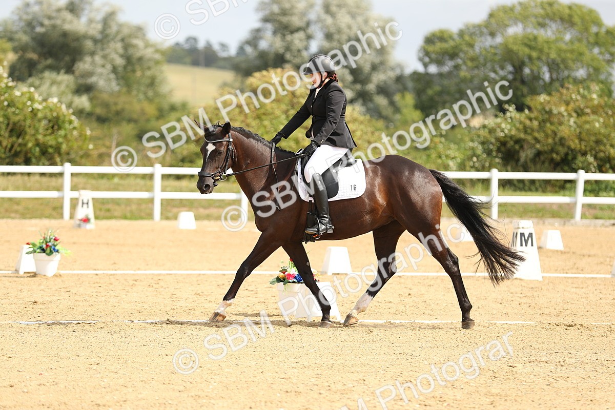 SBM_016276 - Class 13 - Novice 23 - 11.25-12.35