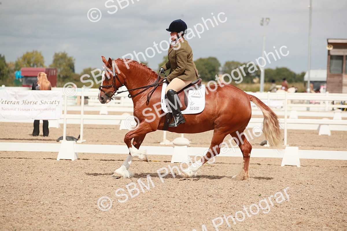 SBM_05867 - Class 32 - Novice 1