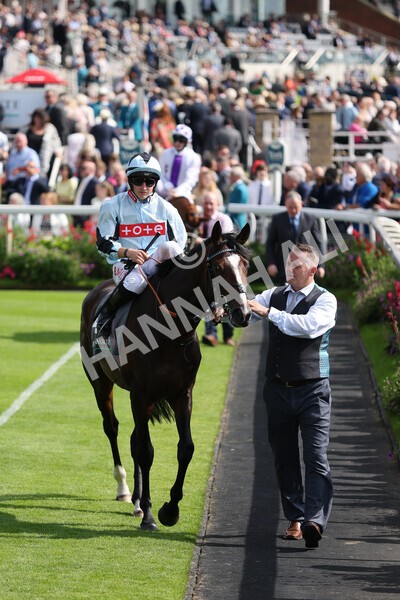 yr18082021r4-34 - Race 4 3.35pm Juddmonte International Stakes (British Champion Series race)