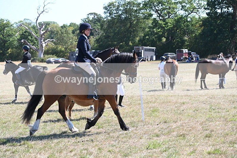 WJ6_8244 - Class 37a Best Loan Pony Ridden