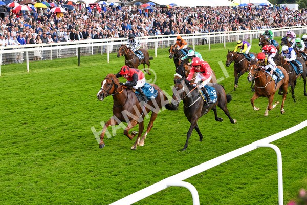 150723-Race 7-Roundhay Park-0752 - Race 7 5.30 pm John Smith's Sprint Handicap