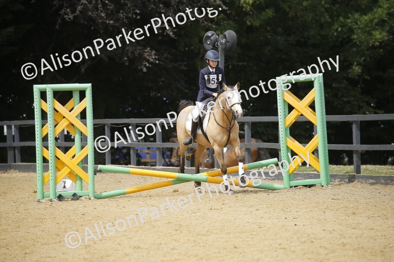 20250622-4647 - 50cm