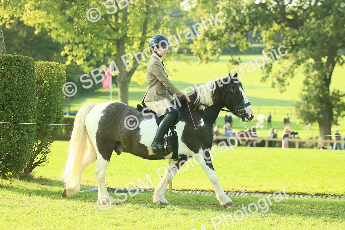 SBM_59291 - S38 - Starters Ridden Showing