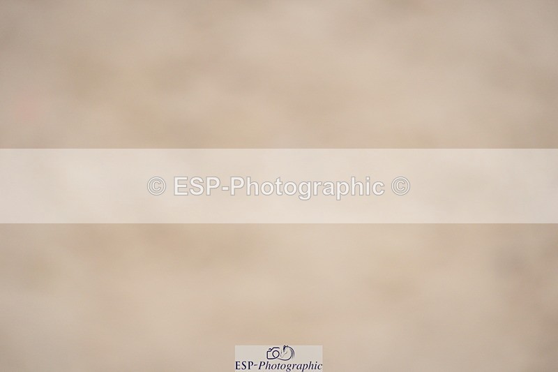 230924A-110250-04510 - 100 SJ 11.00 to 12.00