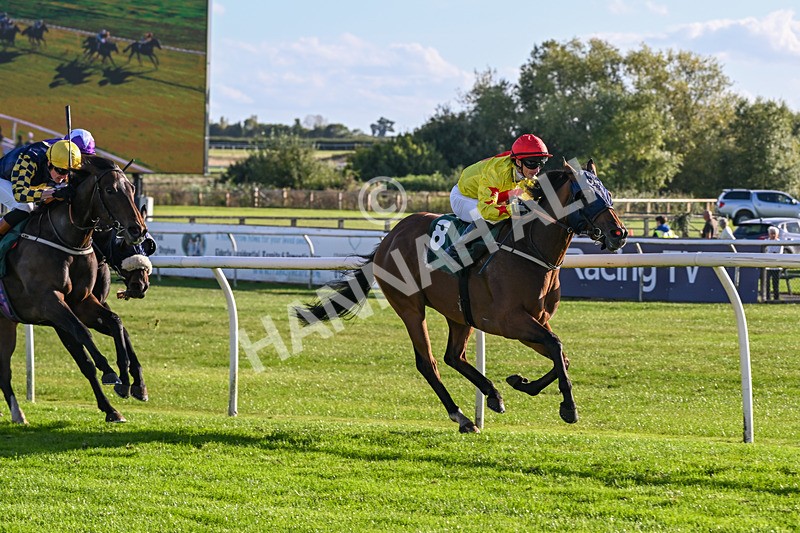 300926-Race 5-Vince Le Prince-6754 - Race 5 4.15pm Bet At racingtv.com Handicap (Div II)