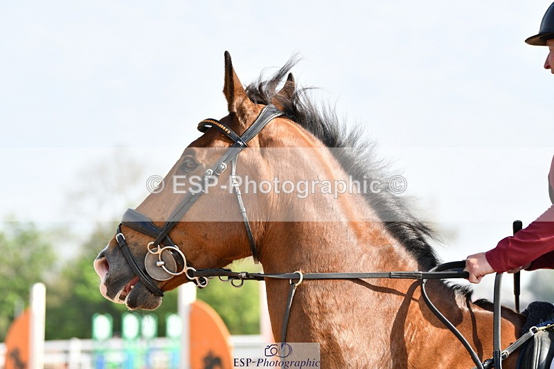 240511A-093501-11305 - Cls 28 95cm National Am Quali