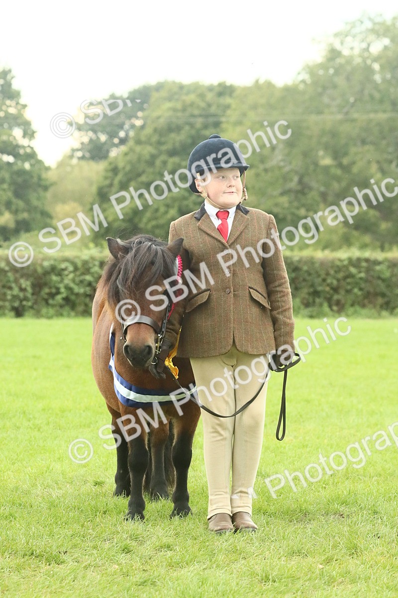 SBM_75183 - Super Supreme Championship