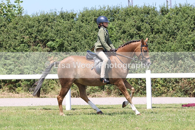 JPP_2733 - Class 21: Working Hunter 60cm