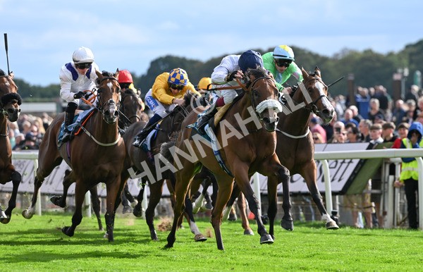 210825-206 Stellar Sunrise - Race 6 4.45pm Mews Hotel Ossett EBF Stallions Nursery Handicap