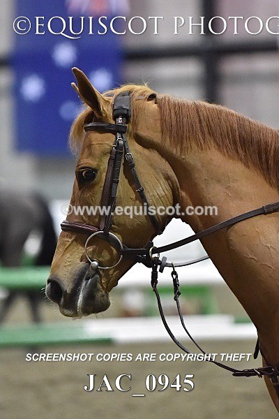 JAC_0945 - 14TH NOVEMBER 2017 - GEORGE & JAMES WHITAKER DEMO - MORRIS EC