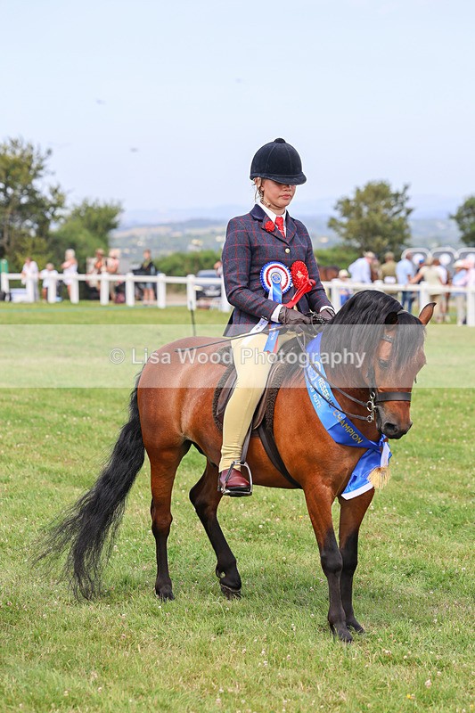 IMG_3741 - M & M Ridden Championship