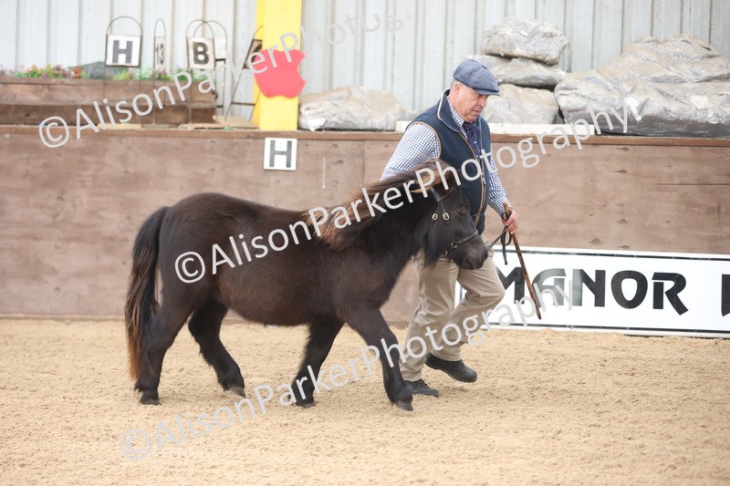 20251109-0007 - Class 2 - Yearling, Colt, filly or gelding