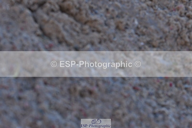 231104A-124245-00538 - Cls 12 Music Medium