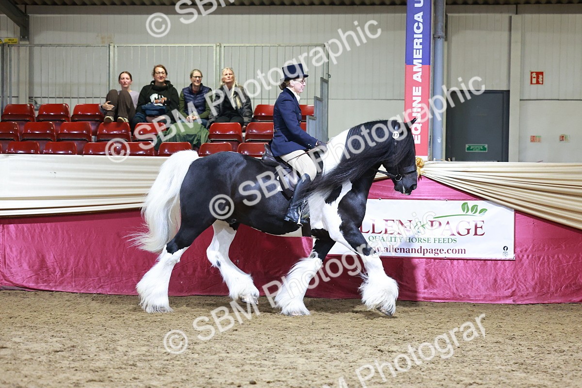 SBM_20831 - Class L - Coloured Champ