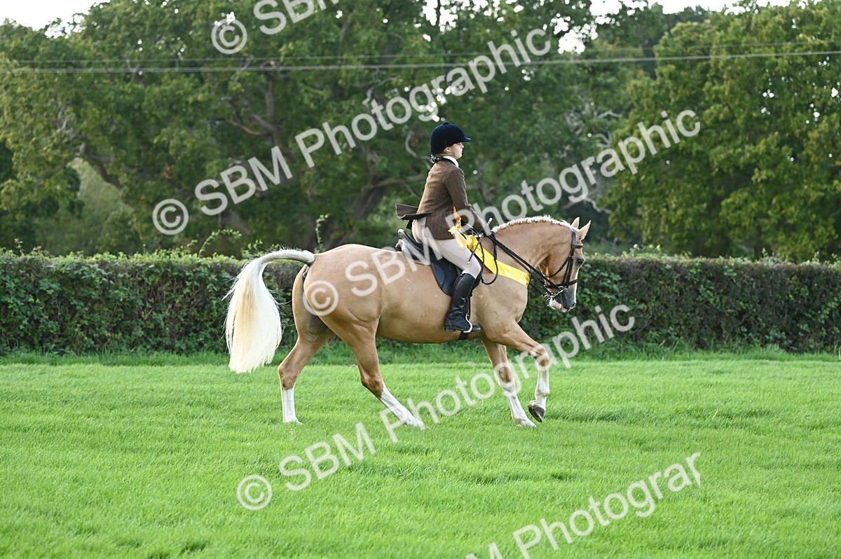SBM_26512 - S6 - Novice & newcomer Ridden horse