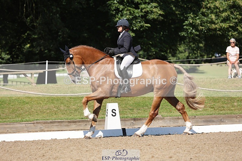 240719-103951-00764 - 223-Deborah_Randall-Sandy's_Bertie