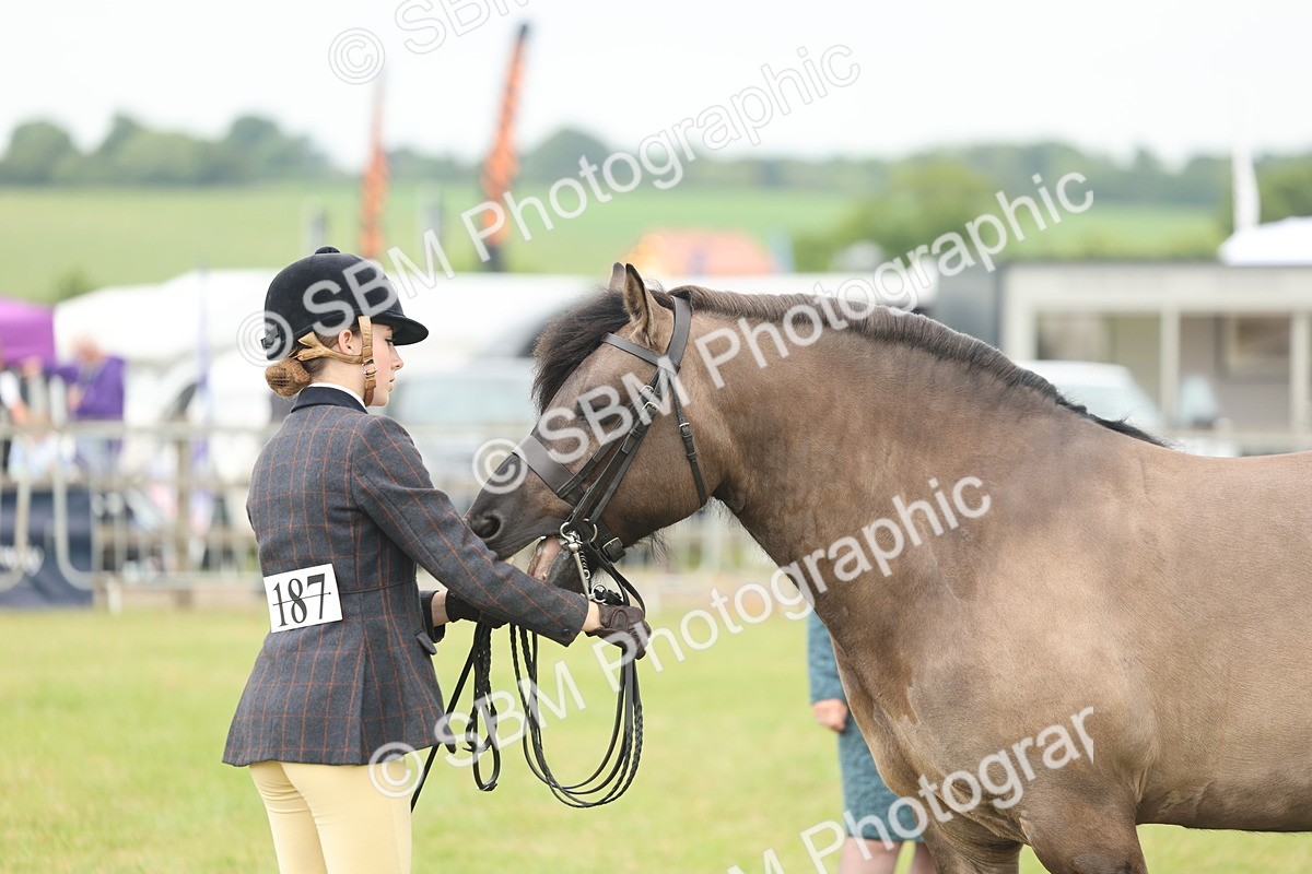SBM_08982 - Class 78-80 - Ridden M&M Non Welsh Ponies