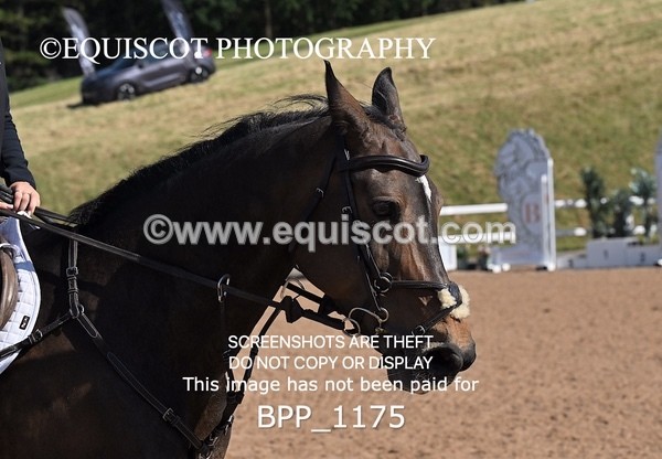 BPP_1175 - THU CLASS 1 PONY FOX/1.10m OPEN