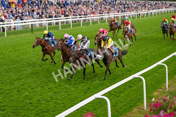 220824-Race 7-Alfa Kellenic-8084 - Race 7 5.20pm British EBF Fillies' Handicap