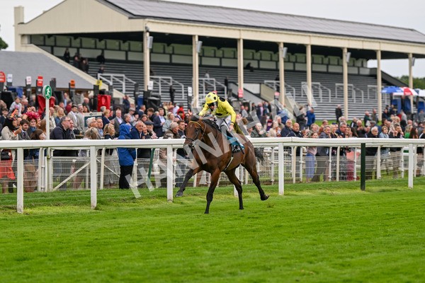 120724-Race 5-Sisyphean-6252 - Race 5 4.20pm George Blades Memorial Handicap