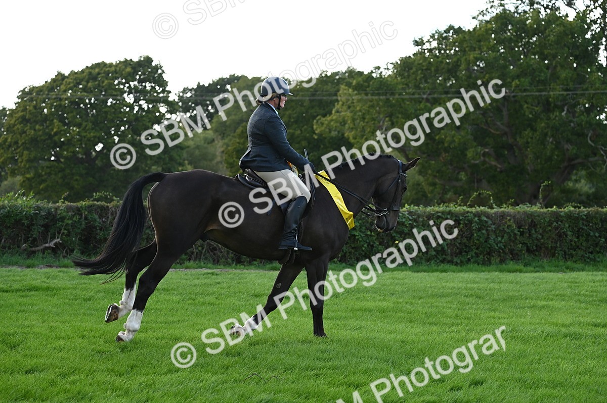 SBM_26500 - S6 - Novice & newcomer Ridden horse