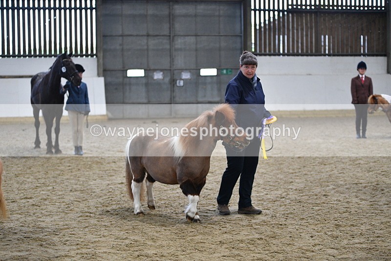 WJ5_5166 - Class 7 In hand coloured / odd coloured