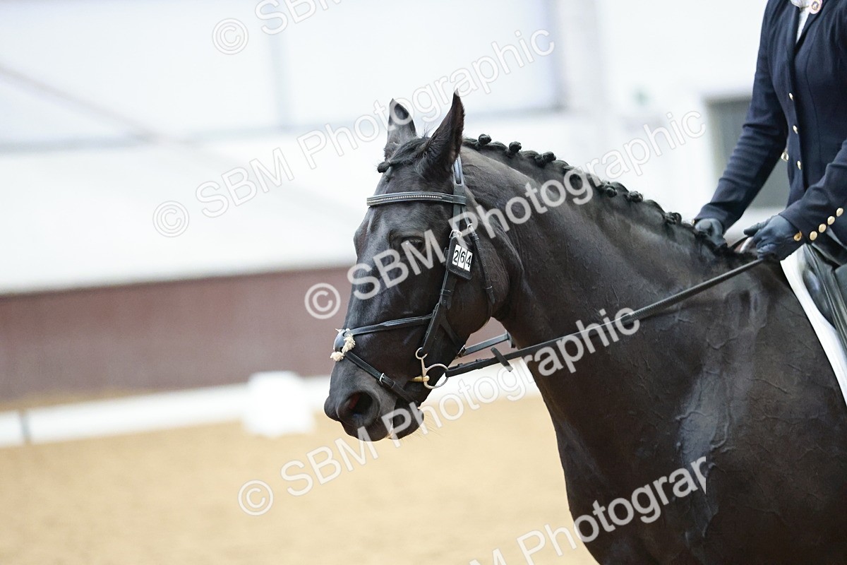 SBM_003913 - Class 2 - Novice 2020