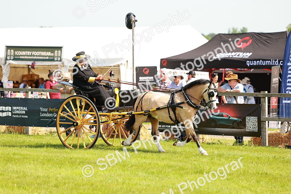 SBM_02754 - Class 2-4 - HOYS Private Driving