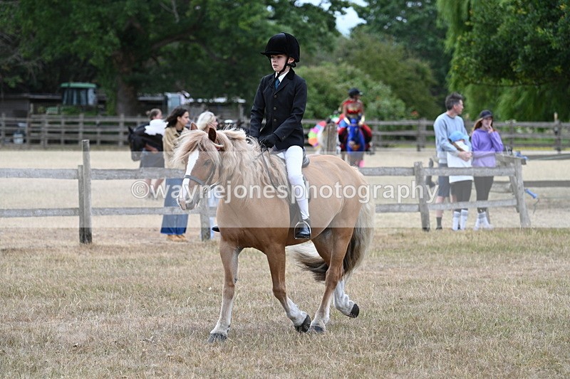 WJ7_7189 - Class 2 Best Rider