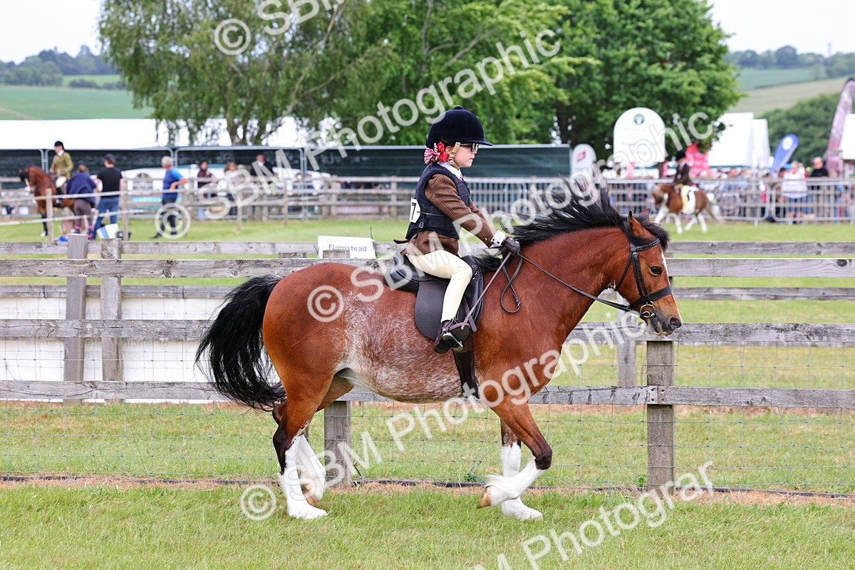 SBM_08546 - Class 42-43 - LIHS BSPS Heritage Working Sports Pony