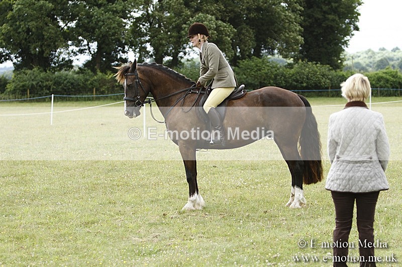 BVR160717-407 - Ring 3 BVRC Show 16/07/17