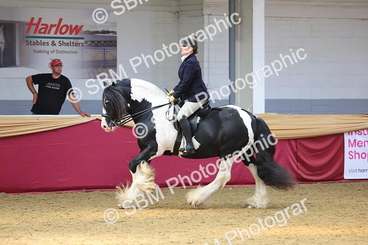 SBM_24132 - Class 905 - Supreme Final - Ridden Veteran