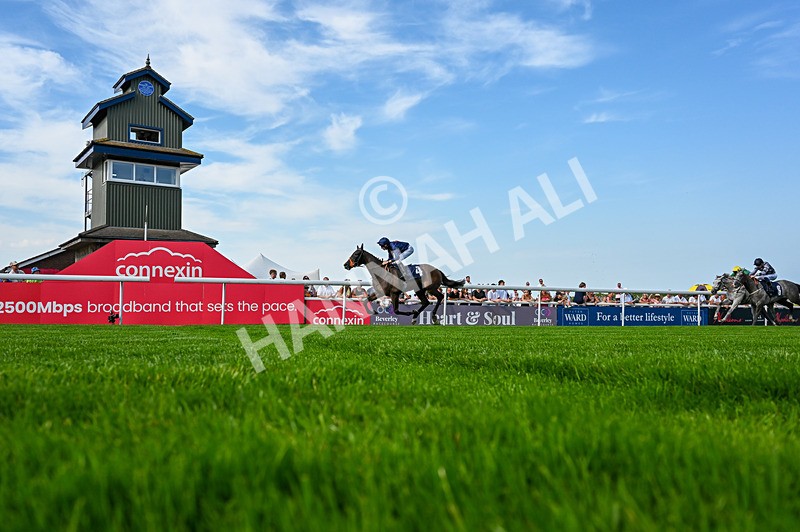 130826-Race 5-Wardlaw-5355 - Race 5 16.15pm Middle Distance Handicap
