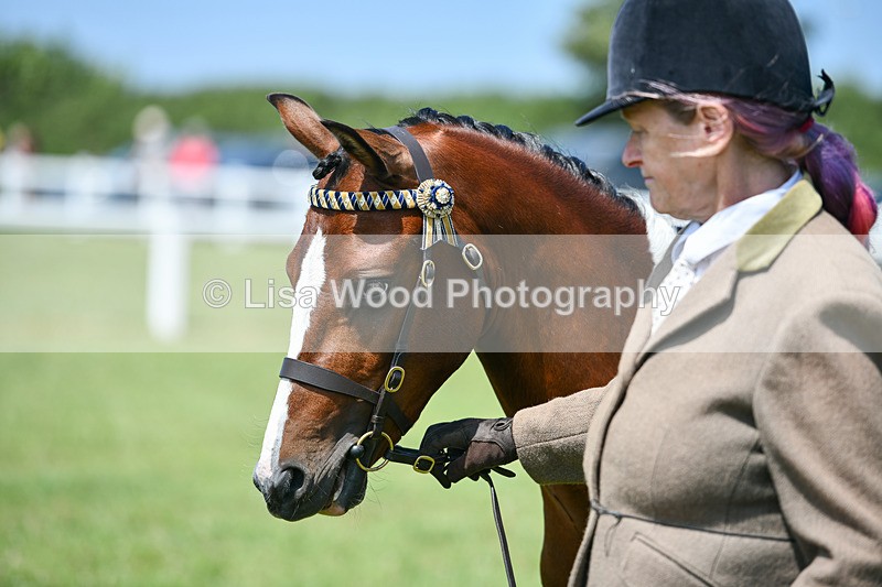 DSC_7420 - Class 62: Coloured Pony Youngstock