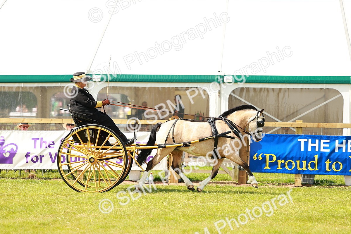 SBM_02713 - Class 2-4 - HOYS Private Driving