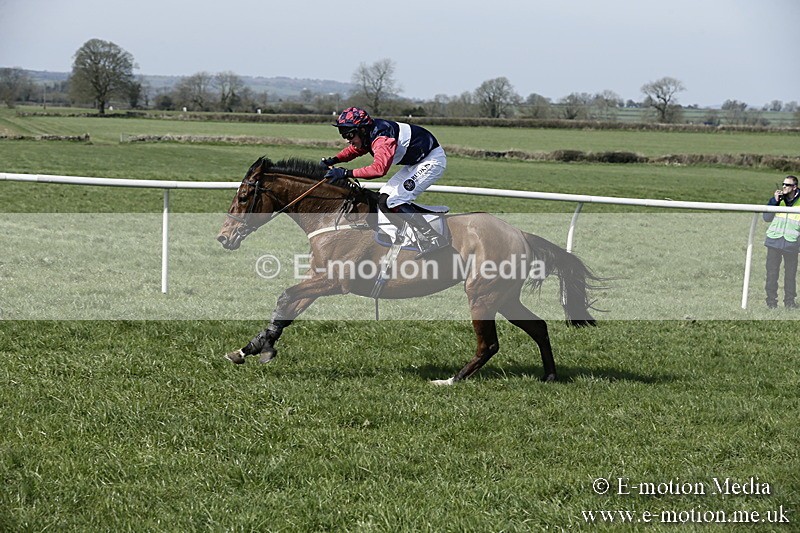 PtP 260317 12 - Mendip Farmers Point-to-Point Ston Easton 26/03/17