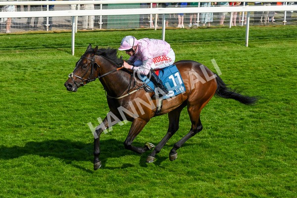 160623-Race 6-Another Investment-0702 - Race 6 4.45pm Irish Thoroughbred Marketing Handicap