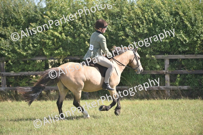 20260906-2622 - Class 12 - 14.2hh and Under