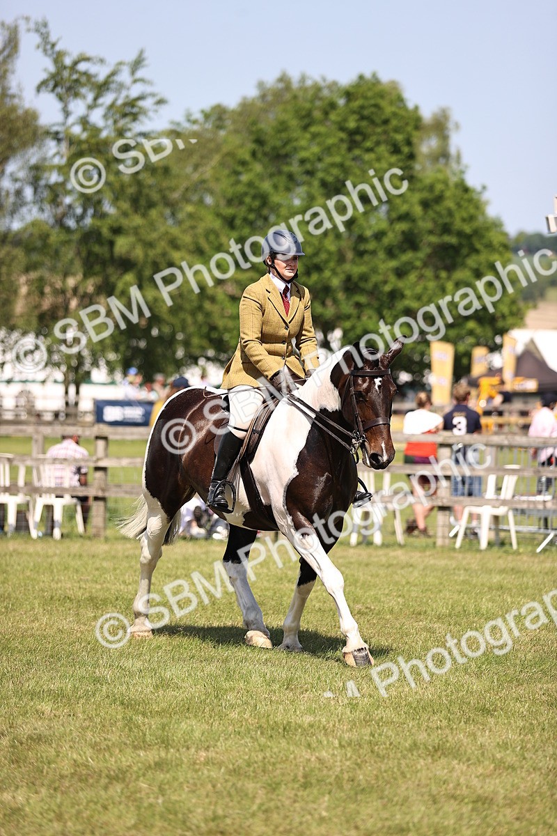 SBM_17895 - Class 81-83 - TSR Ridden Amateur of the Year - Horses