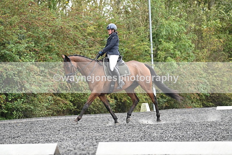 WJ7_6165 - Time 14:10 to 14:45