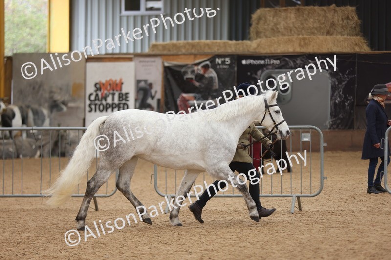 20251109-0894 - Class 26 - 2 and 4 Year Olds