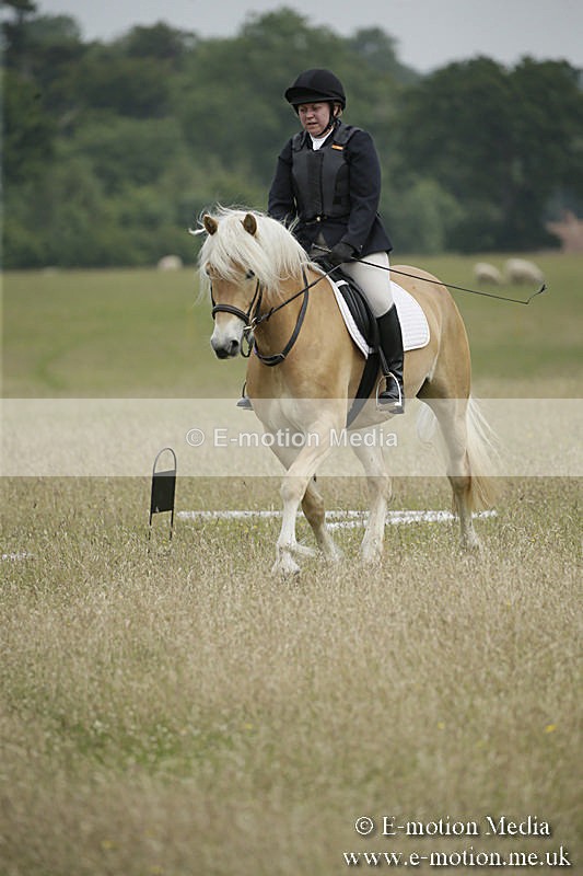 B230619-0415 - Bourne Valley Riding Club Summer Show 23/06/19