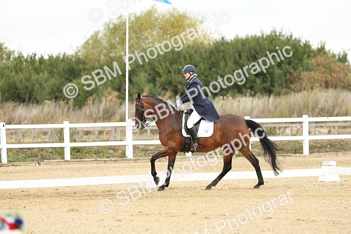 SBM_007141 - Class 25 - FEI PSG Bronze