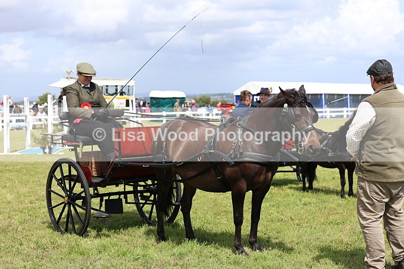 3E7A2814 - Class 12: Open Driving