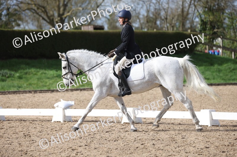 20260228-0680 - Class 5 - Novice 2